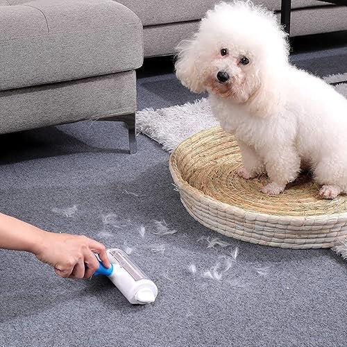 Pet Hair Removal